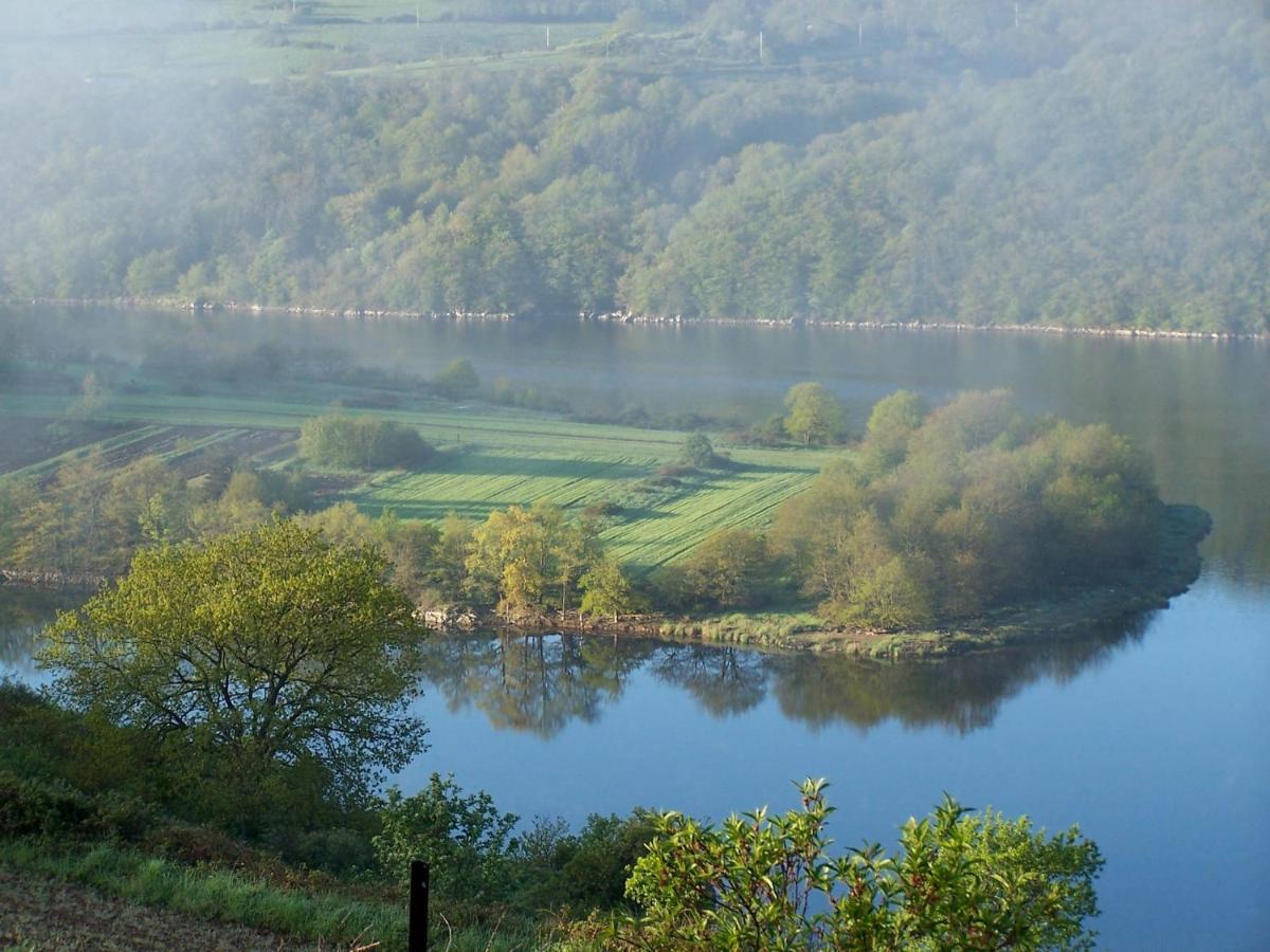 O Fil De L'Eau - Gite En Bord De Lac Saint-Jean-Saint-Maurice-sur-Loire Eksteriør billede