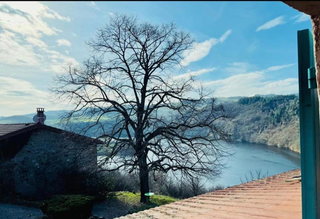 O Fil De L'Eau - Gite En Bord De Lac Saint-Jean-Saint-Maurice-sur-Loire Eksteriør billede